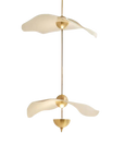 Lumière de Lotus