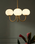 Le Lustre Malvavisco