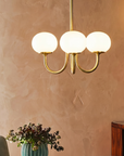 Le Lustre Malvavisco