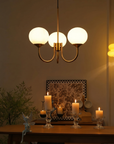 Le Lustre Malvavisco