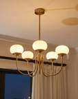Le Lustre Malvavisco