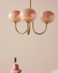 Le Lustre Malvavisco
