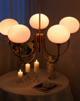 Le Lustre Malvavisco