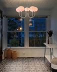 Le Lustre Malvavisco