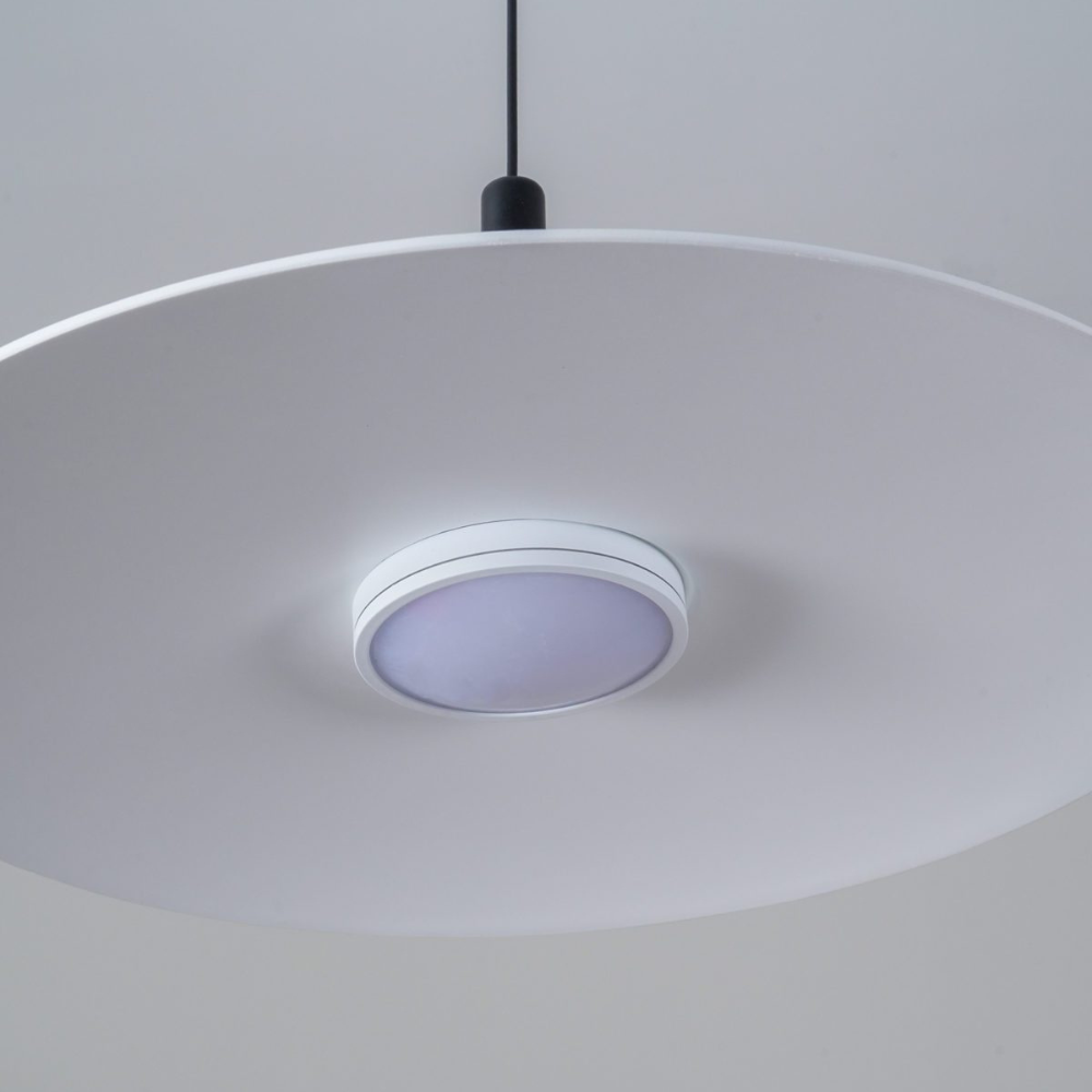 Le Lustre Distingué
