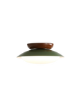 Le Solène