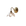 Nº 37 Rêve de Verre