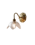 Le Pétale Lumineux