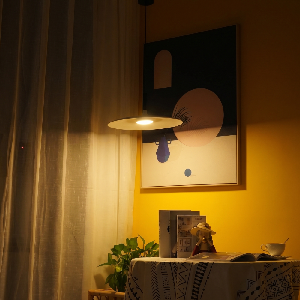 Le Lustre Distingué