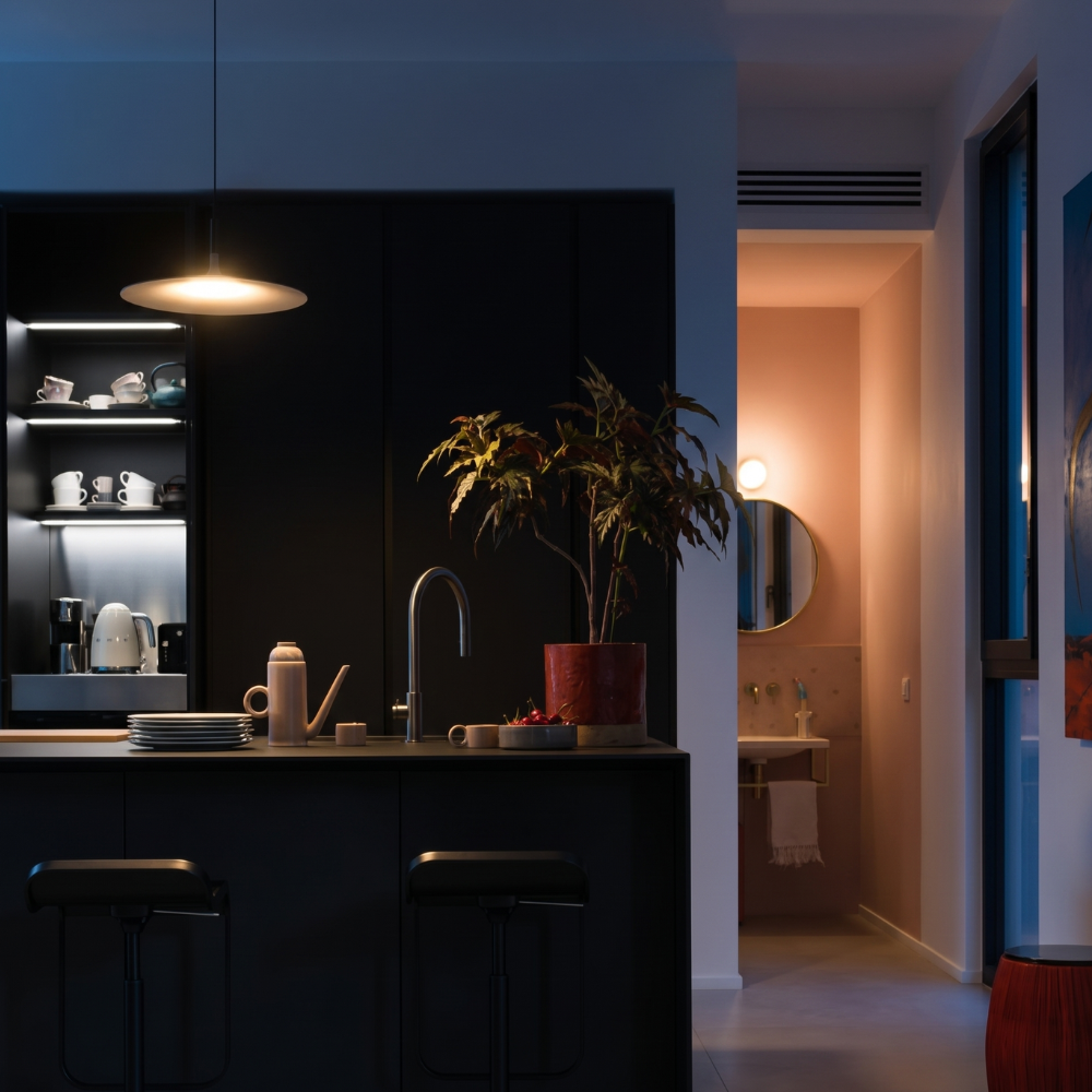 Le Lustre Distingué
