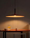 Le Lustre Distingué
