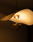 Lumière de Lotus