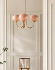 Le Lustre Malvavisco