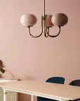 Le Lustre Malvavisco