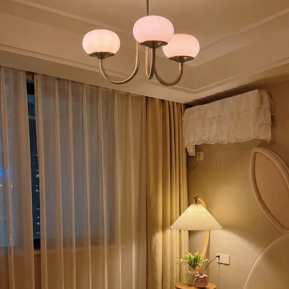 Le Lustre Malvavisco