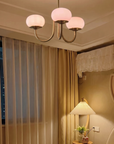 Le Lustre Malvavisco