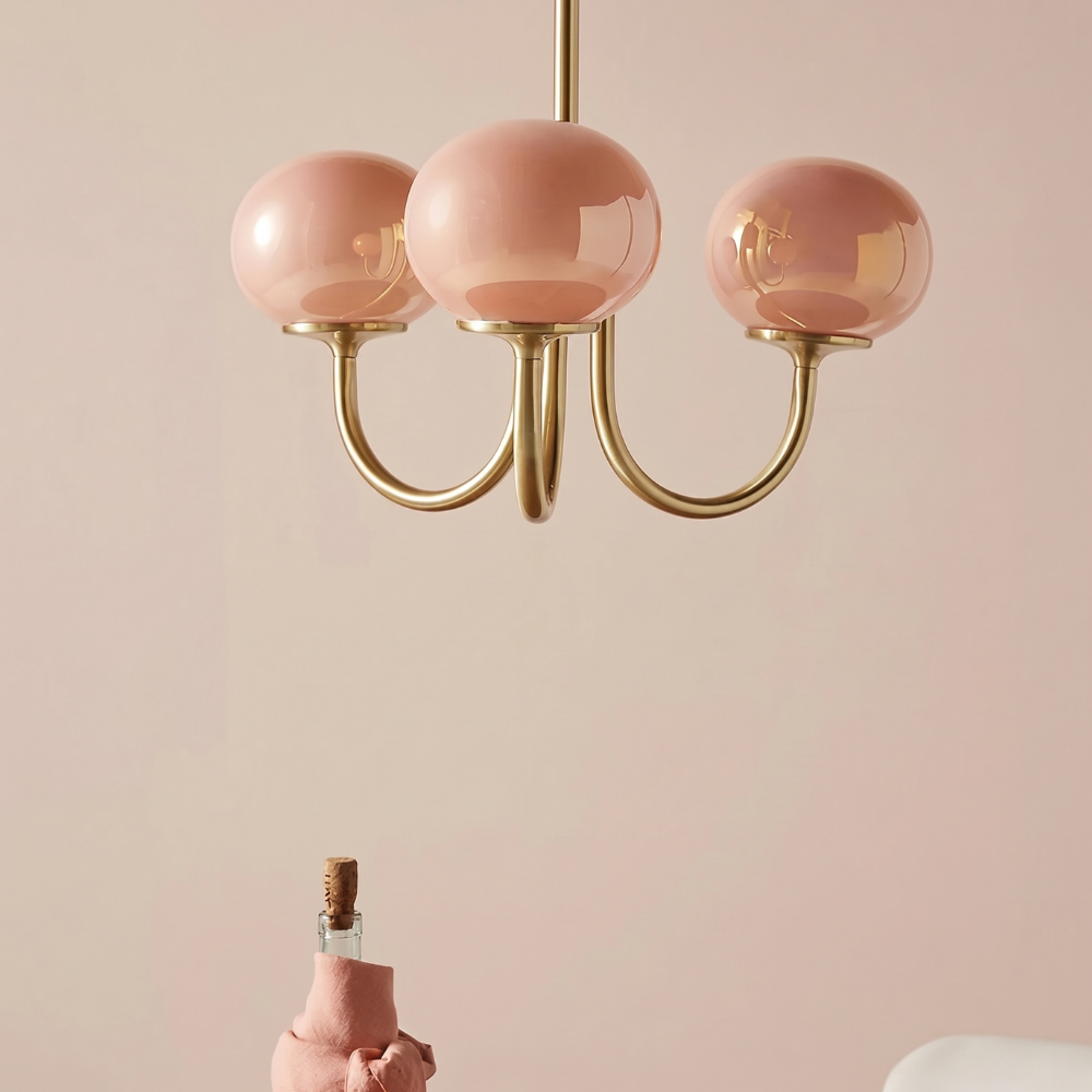 Le Lustre Malvavisco