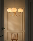Le Lustre Malvavisco