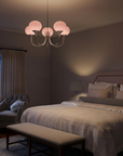 Le Lustre Malvavisco