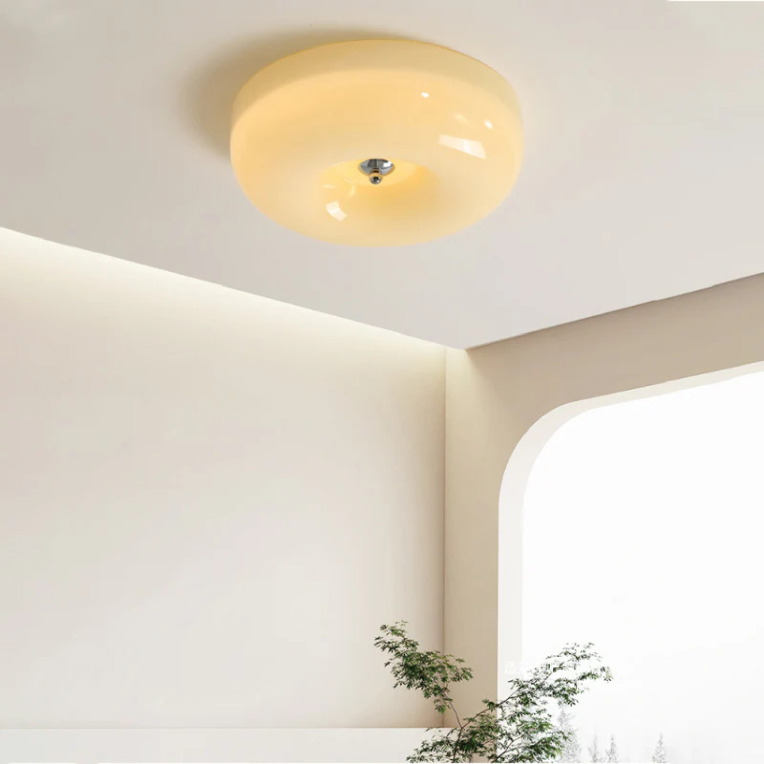 Le Haloir