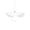 Nº31 Éclat Blanc